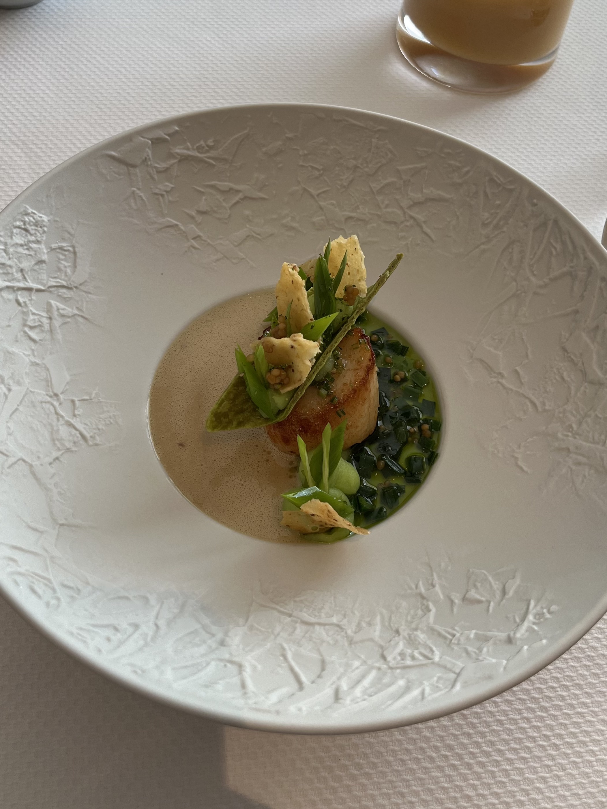 scallop